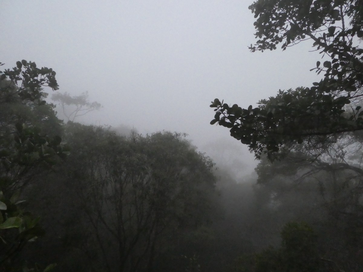 Schmähliche Niederlage… 😩