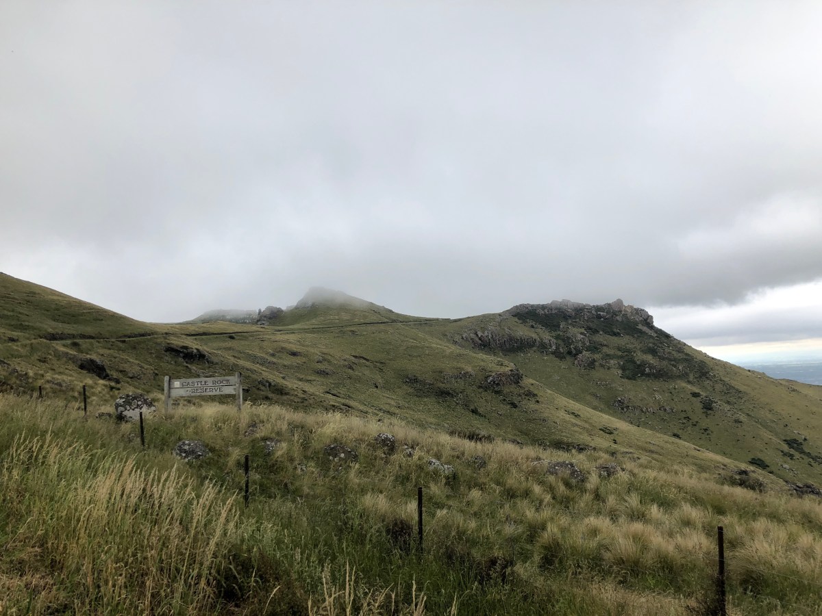 Erste Radtour in Neuseeland: Godley Head&nbsp;🚵🏻‍♀️