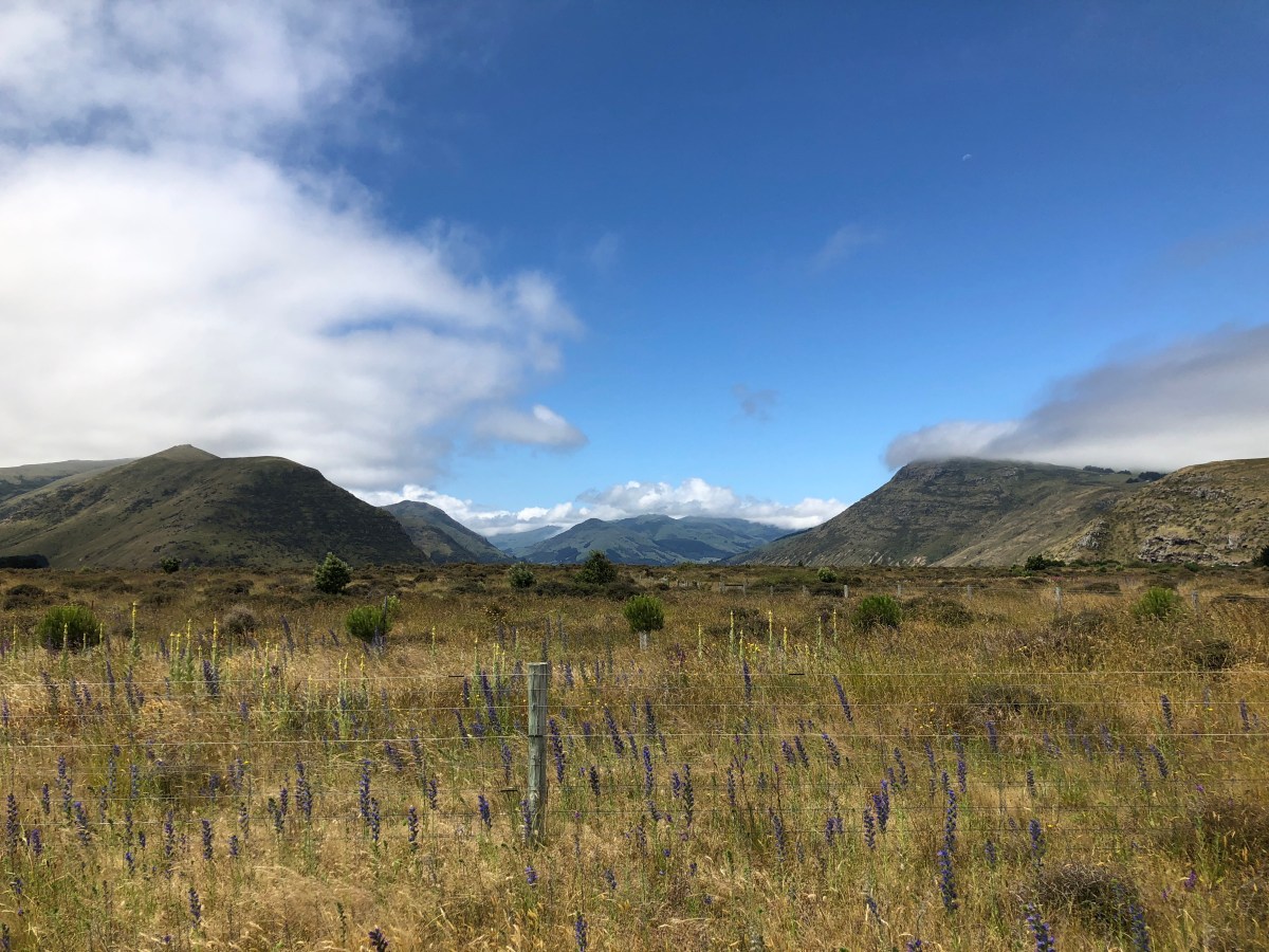 Little River Trail – von Christchurch nach Little&nbsp;River