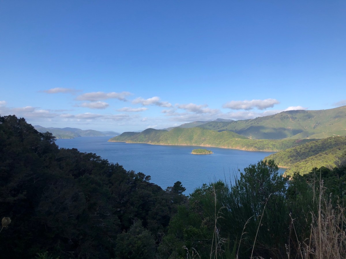Abenteuer in den Marlborough&nbsp;Sounds