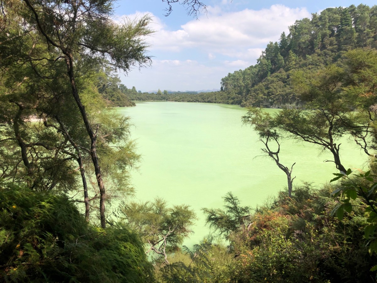 Vorsicht heiß und stinkig! Die Vulkangegend rund um Rotorua&nbsp;🌋