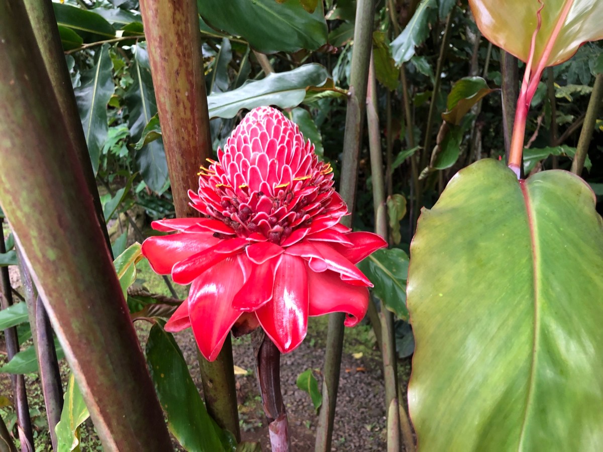 Tahiti – endlich im Warmen!!&nbsp;🌴☀️👙