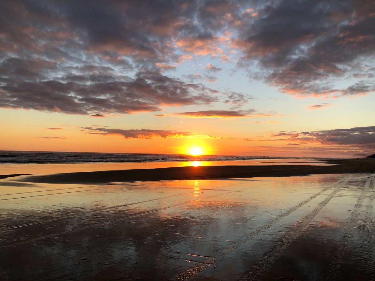 Die (vorerst) letzten Tage in Neuseeland: Kauri Forest und Bayly‘s&nbsp;Beach
