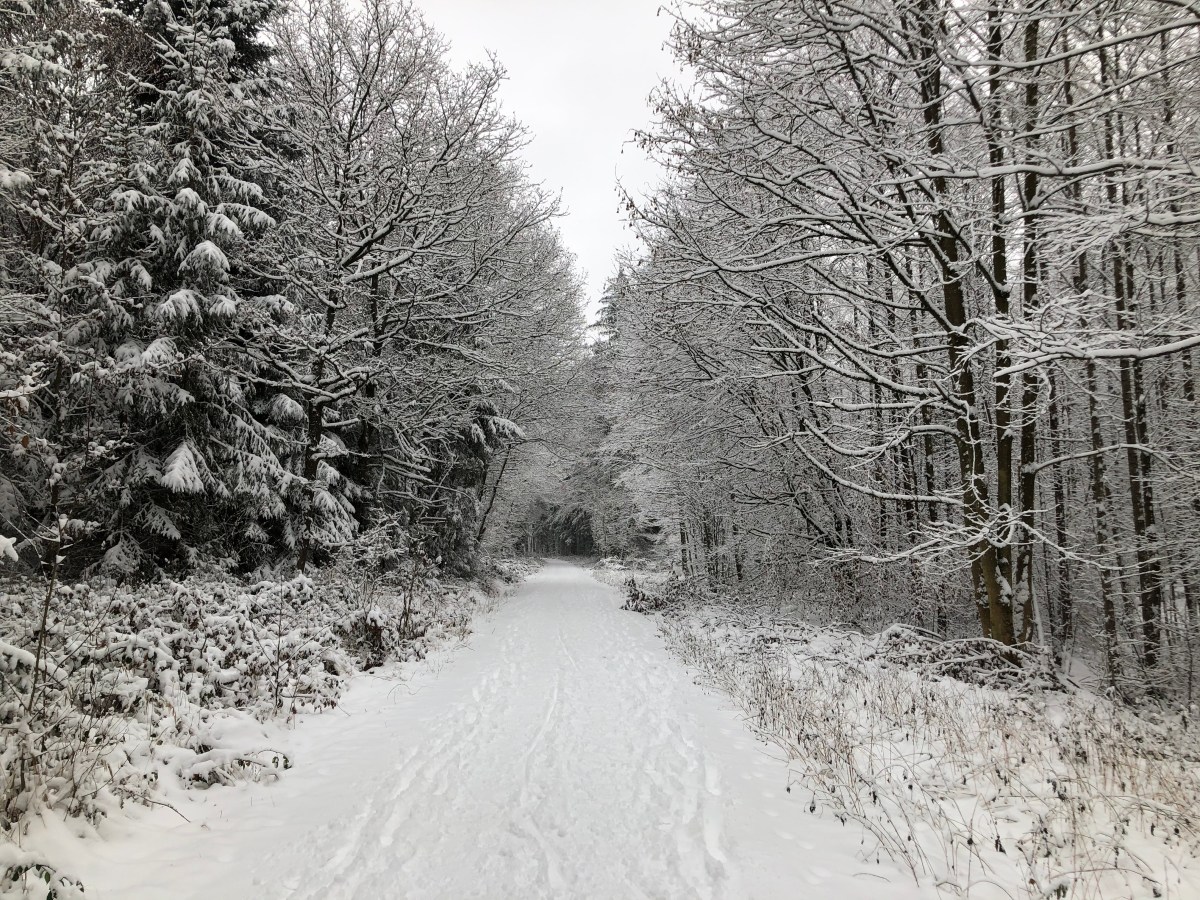 Winter in Freising – und 1 Jahr ohne&nbsp;Paddy