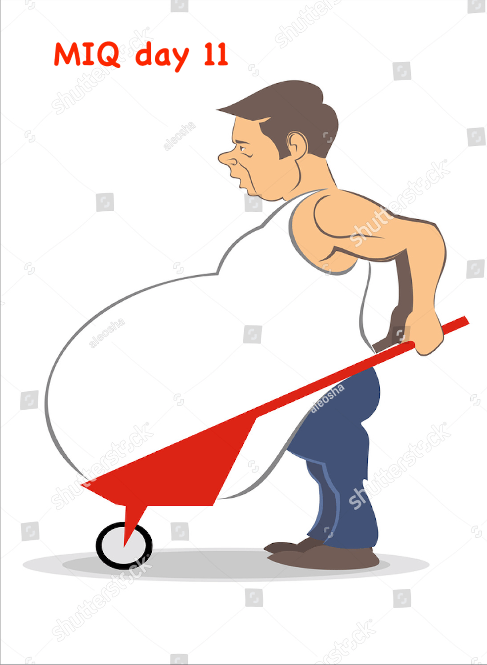 MIQ day 11 – transport&nbsp;organized!