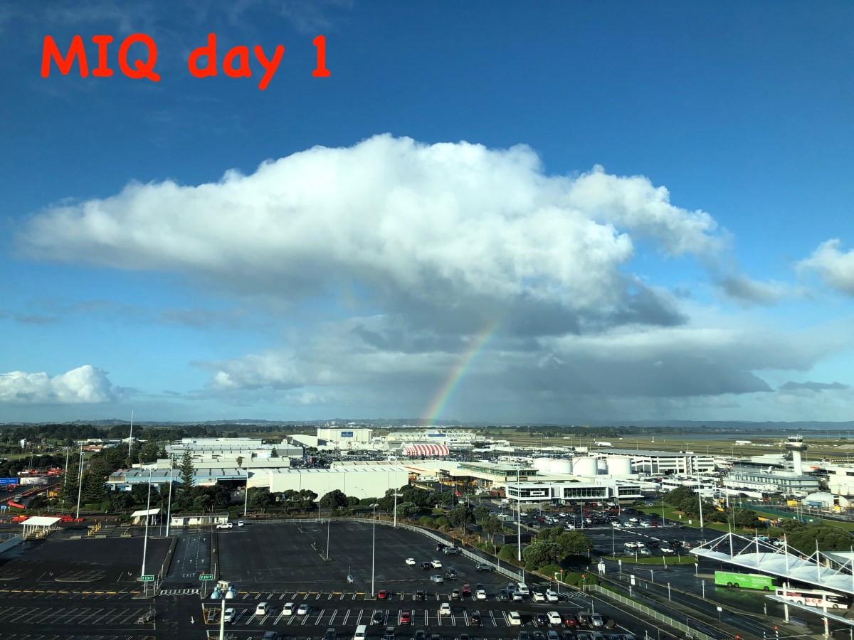 MIQ day 1 – first walk in the outdoor&nbsp;arena!