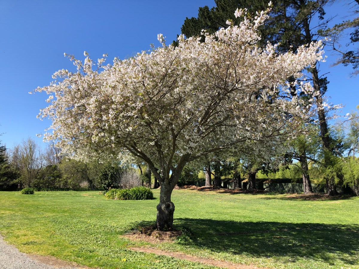Leben im Rivers Edge Holiday&nbsp;Park