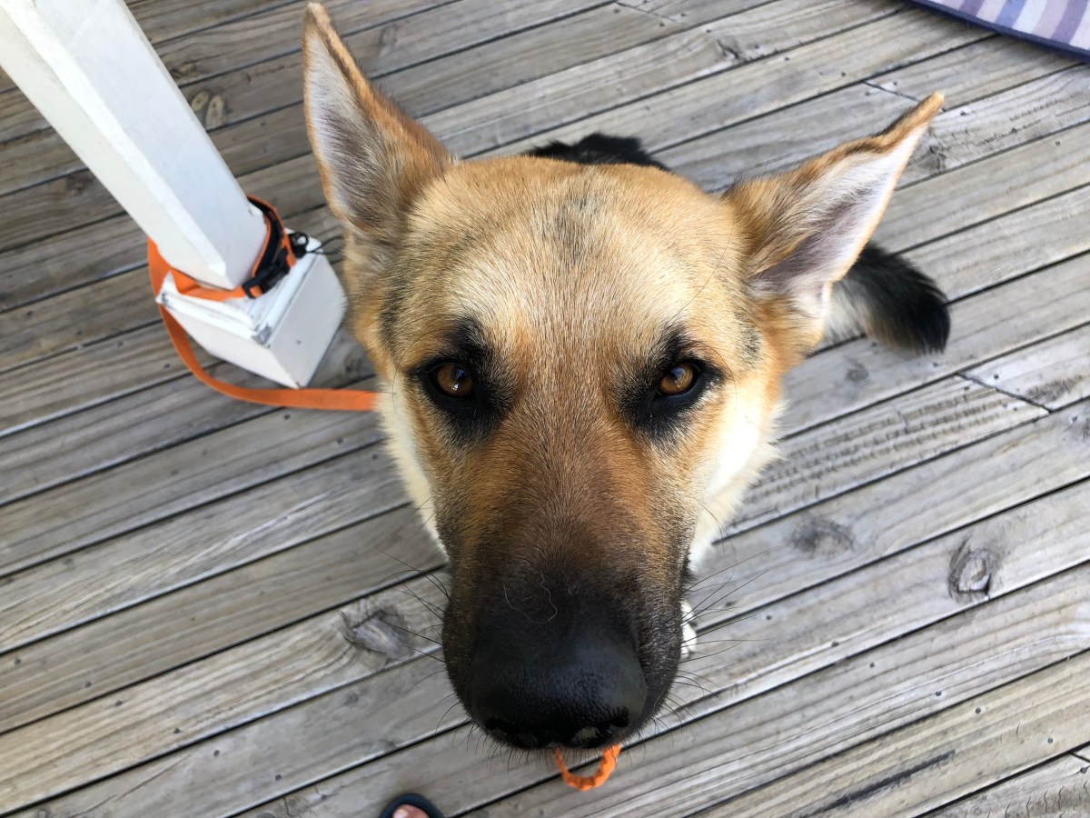 Ein neuer Mann in meinem&nbsp;Leben