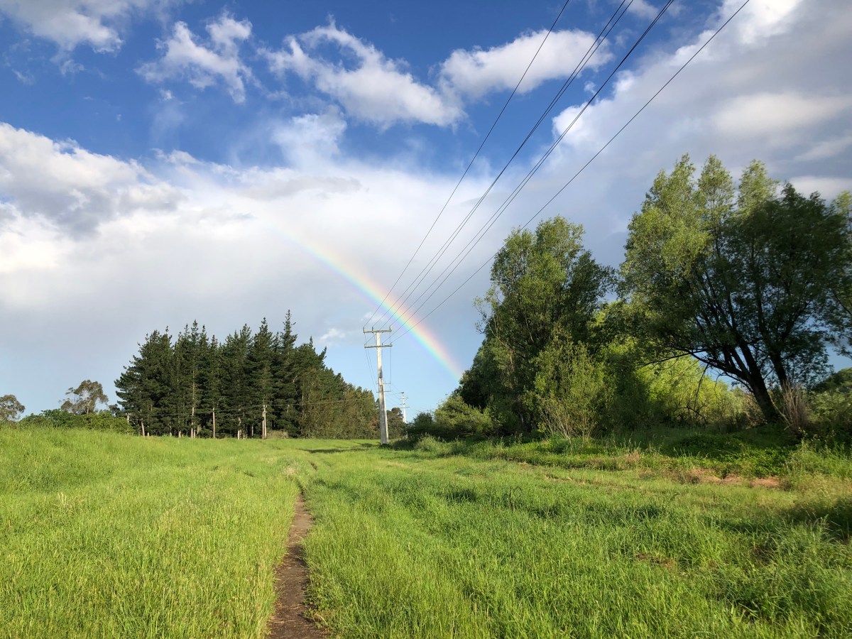 Der Sommer kommt…&nbsp;:-)