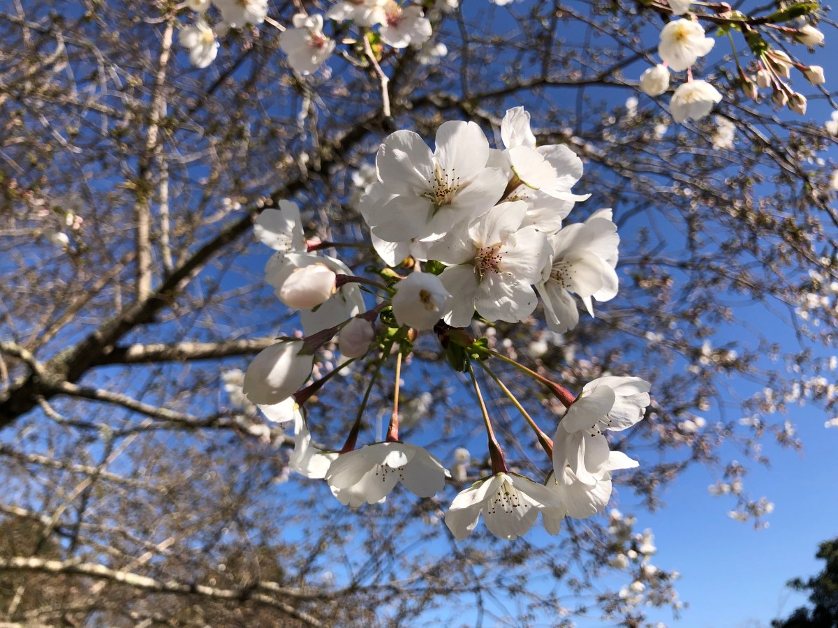 Was in den letzten 3-4 Monaten&nbsp;geschah…