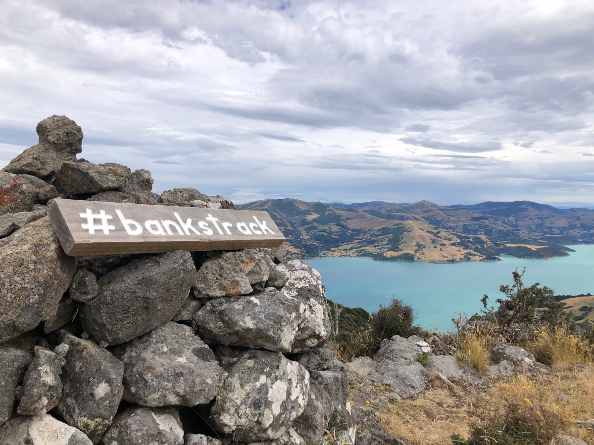 Nachtrag Januar: Christchurch und Banks Track mit Claudi und&nbsp;Thorsten