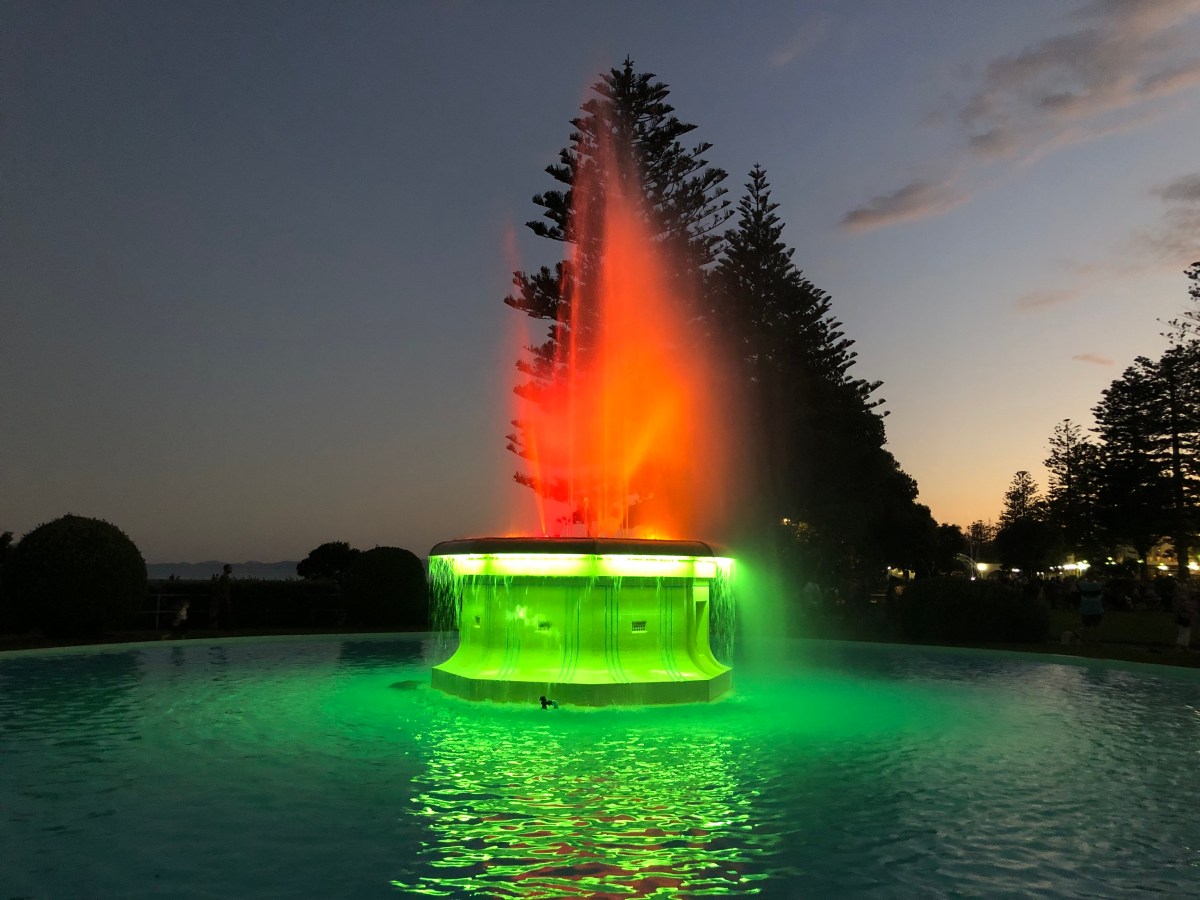 Nachtrag Februar/März: Winery tour, Art Deco Festival, Besuch aus der Heimat und eine&nbsp;Hochzeit