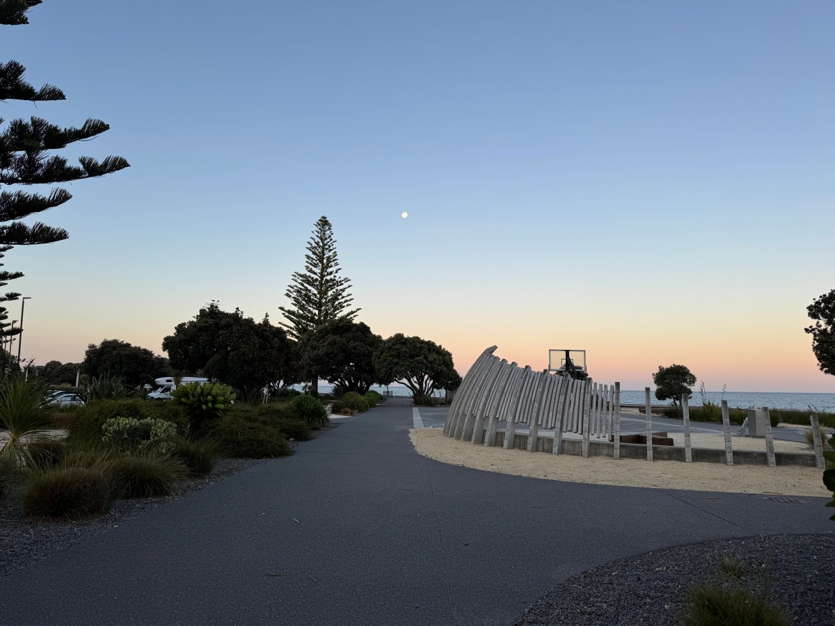 Nachtrag: Dezember 2024-März&nbsp;2025