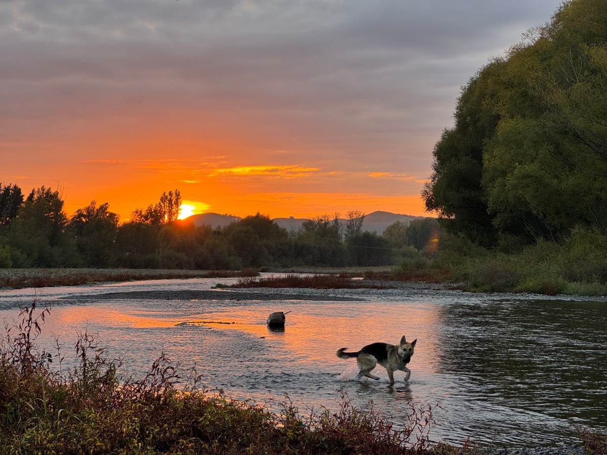 Lampenfieber vor dem großen&nbsp;Rennen…
