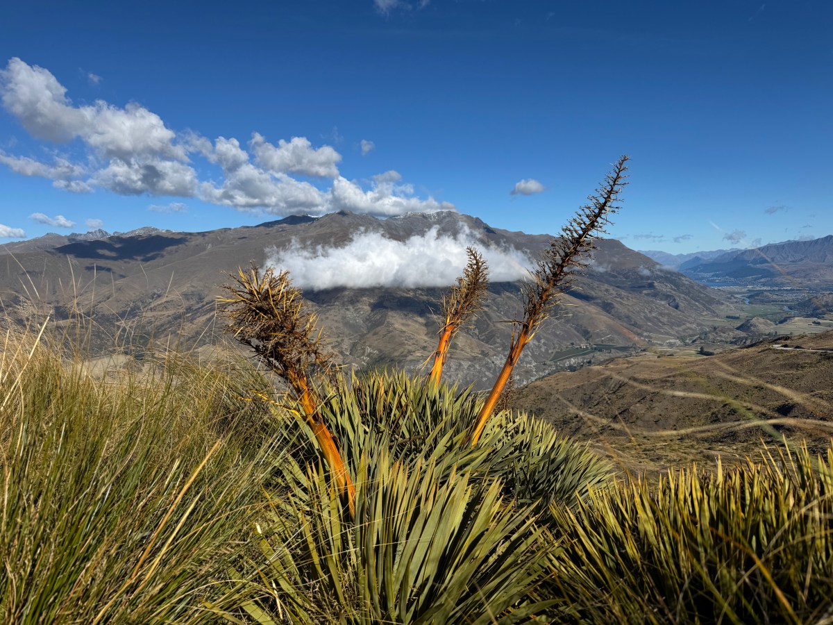 Eine Woche Urlaub auf der&nbsp;Südinsel